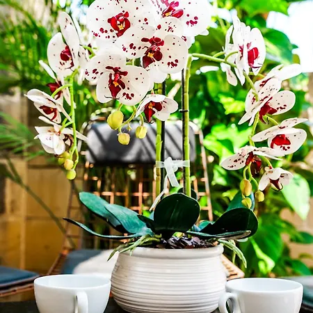 Valhalla Boutique Hotel