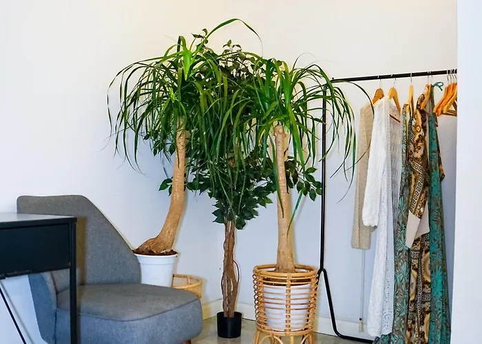 Valhalla Boutique 5* Valletta