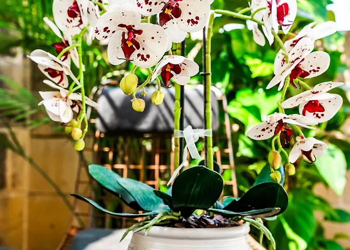 Valhalla Boutique Hotel